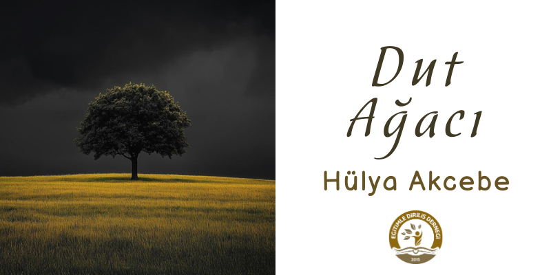 DUT   AĞACI
